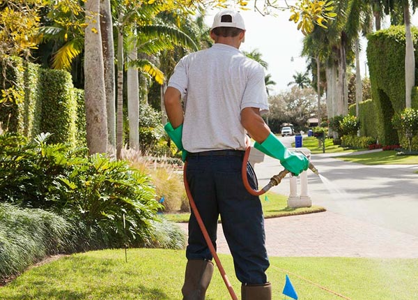 About Sunny Side GA Pest Control Pros